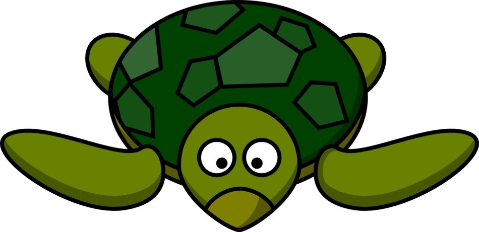 cliprt of the green turtle