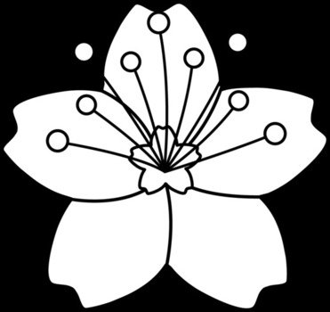 Cherry Blossom Drawings Free N2