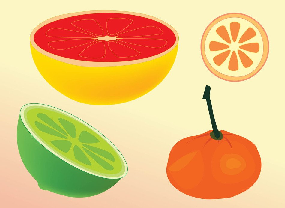 fruits on a light background