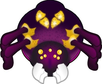 Spider Arachnid Evil Insect Mandible Mandibles