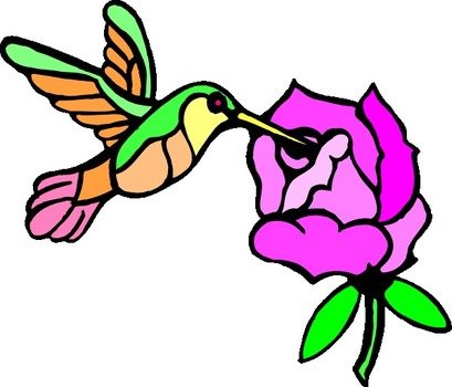 Hummingbird With Flower At Clkercom Vector Online