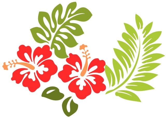 Hibiscus Flowers Vector
