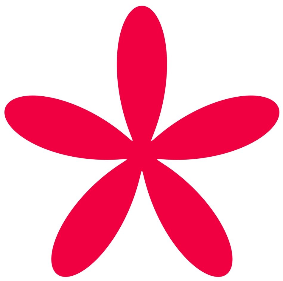 flower with pink petals on a white background