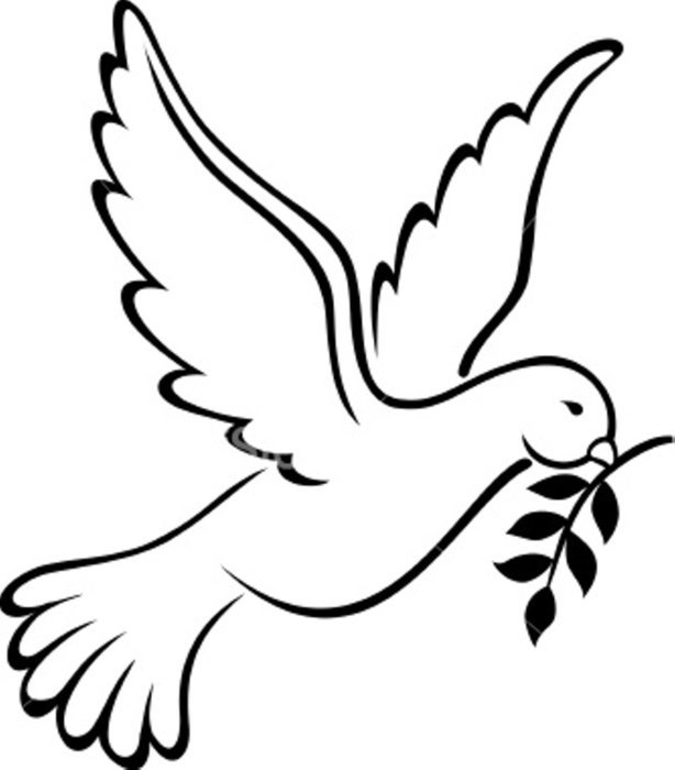 black and white drawing dove of peace