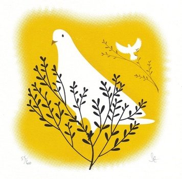 Pin By Rosalind Smith On Dove Pinterest