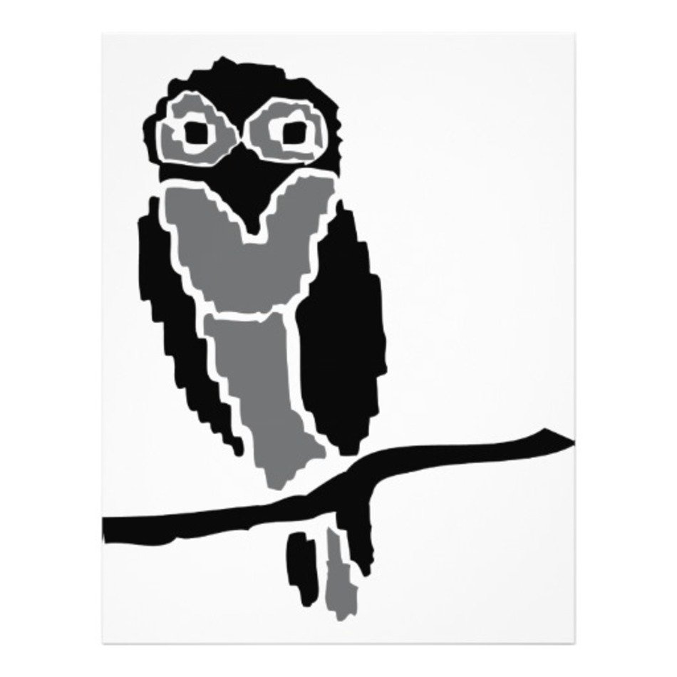 Night Owl Owlet Full Color Flyer