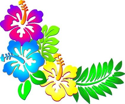 Hawaiian Border Panda Free Images