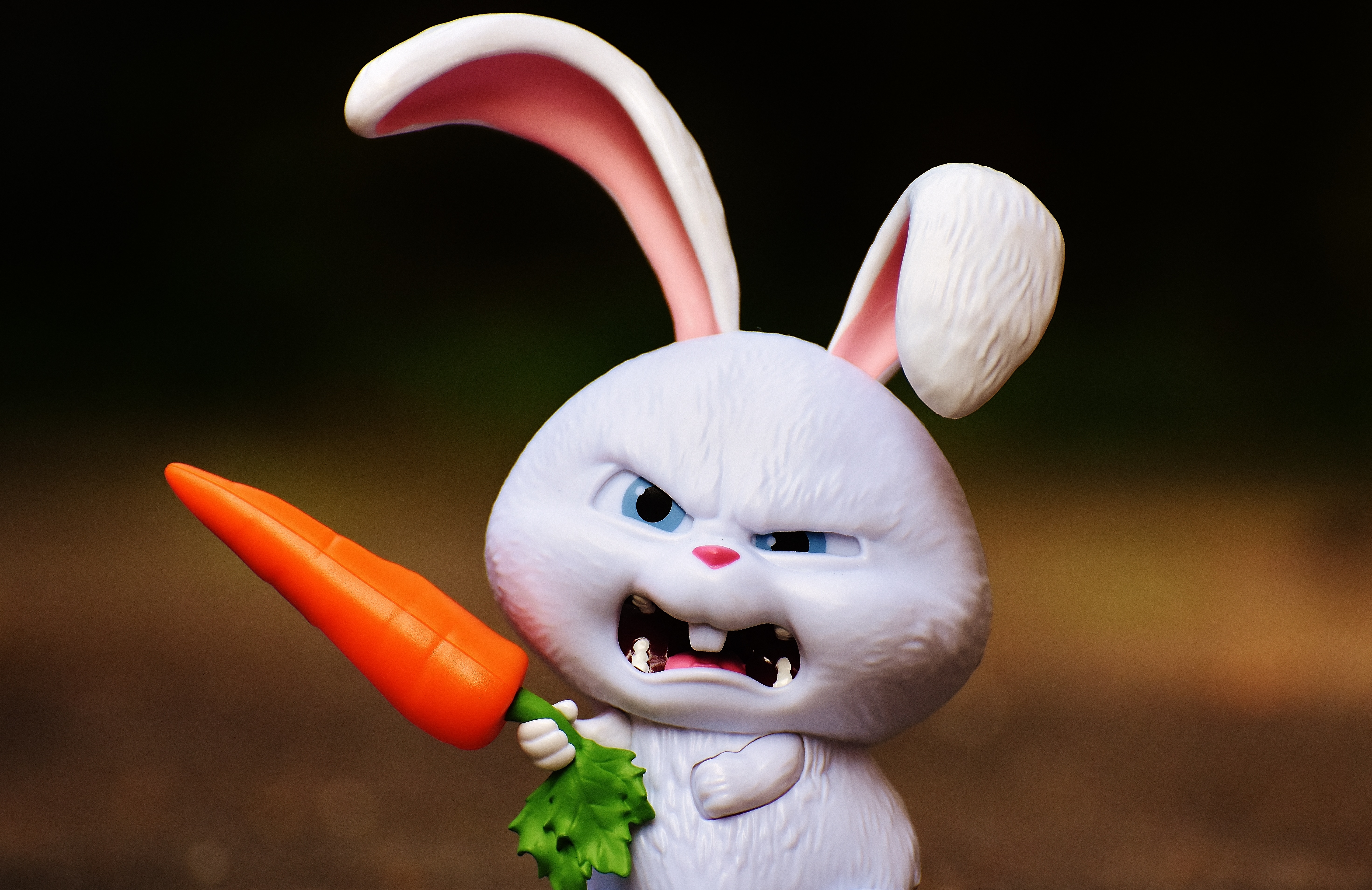 Angry white bunny with carrot image.