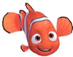 drawn cartoon fish Nemo