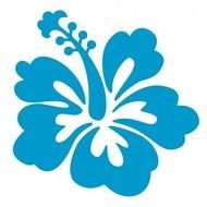 Blue Hibiscus Flower Frees That You Can Download To