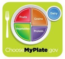 Nutrition Plate Replaces Healthy Food Pyramid