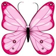 pink butterfly on a red background