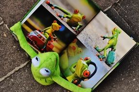 ceramic frog figure examines the photo album