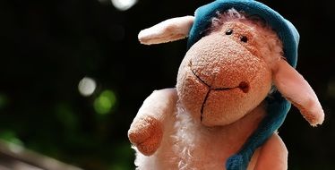 Stuffed Sheep toy close-up on blurred background