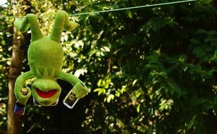 toy Frog with bottles hangs upside down