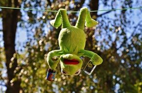 green toy frog hanging on a rope