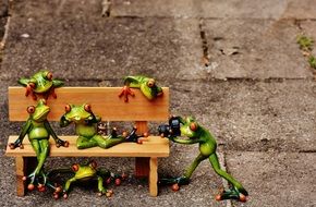 Frogs, Sociable, Bank, Bench