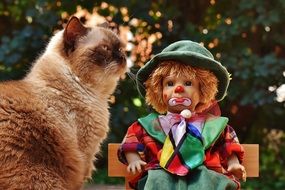 Clown doll and kitty