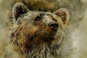 shaggy grizzly head