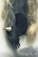 flying bald eagle as an abstract illustration