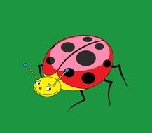 Ladybug Insect Drawing
