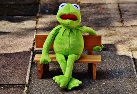 Kermit Frog on Bank Rest