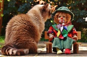 clown doll and domestic cat