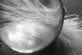creative Glass Ball close-up on blurred background