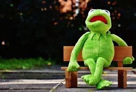 soft kermit toy on the bench