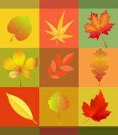 autumn leaves on colored squares
