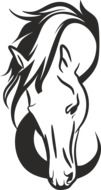 Drawing of the head of the horse clipart
