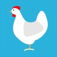 drawing white chicken on a blue background