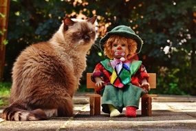 clown toy sitting on a wooden bench near the cat