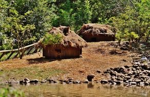 picture of the Cottages in the forest