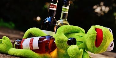 soft kermit with bottle of wine