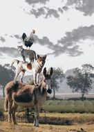 bremen town musicians, fairy tale installation, animals in stack, collage