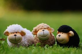cute colorful toy sheep on a grass