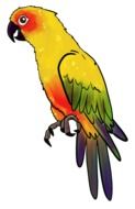 drawing of a yellow parrot