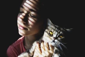 beautiful girl posing with cat in shadow and light