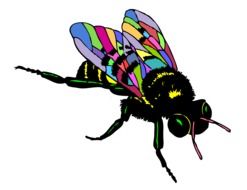 bee with colourful wings