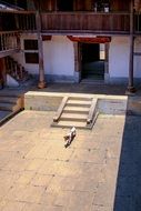 Doggy on courtyard