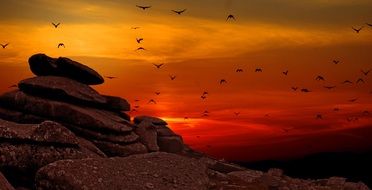 birds over rocks at orange sunset