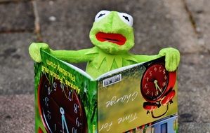 green soft frog with colorful book