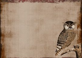 Owl as a Background