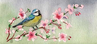 Watercolour Tit Birds drawing