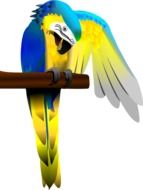 painted yellow-blue parrot