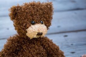 Teddy Bear Brown