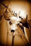 skull with horns on a stick in monochrome