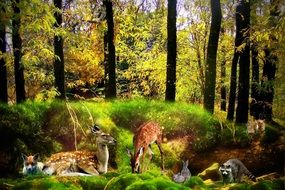 Pictures of forest animals on the edge of the forest, digital art