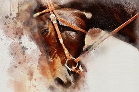 Brown Horse head, painting